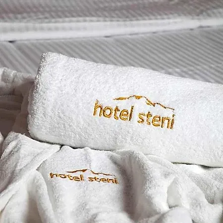 Hotel Steni 2*