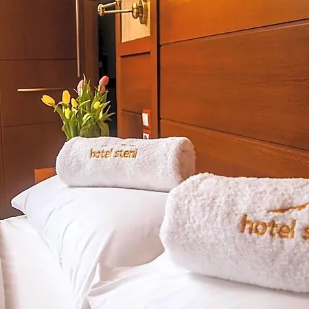 Hotel Steni 2*